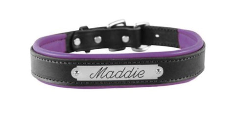 1" HORSE HAVANA TURNOUT HALTER WSP
