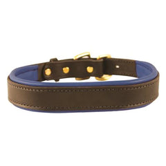 Perris Havana Padded Leather Dog Collar