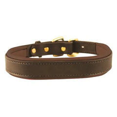 Perris Havana Padded Leather Dog Collar