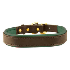 Perris Havana Padded Leather Dog Collar