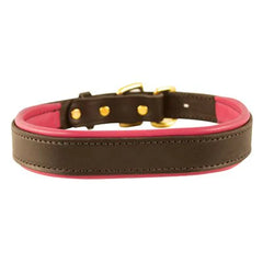 Perris Havana Padded Leather Dog Collar