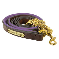 Perri's Padded Leather Lead with Plate