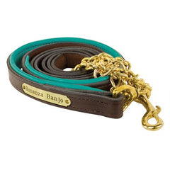 Perri's Padded Leather Lead with Plate