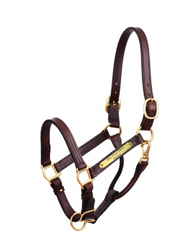 Perri's Premium 1" Leather Show Halter with Plate