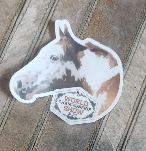 Coyote "Let's Celebrate You" Card