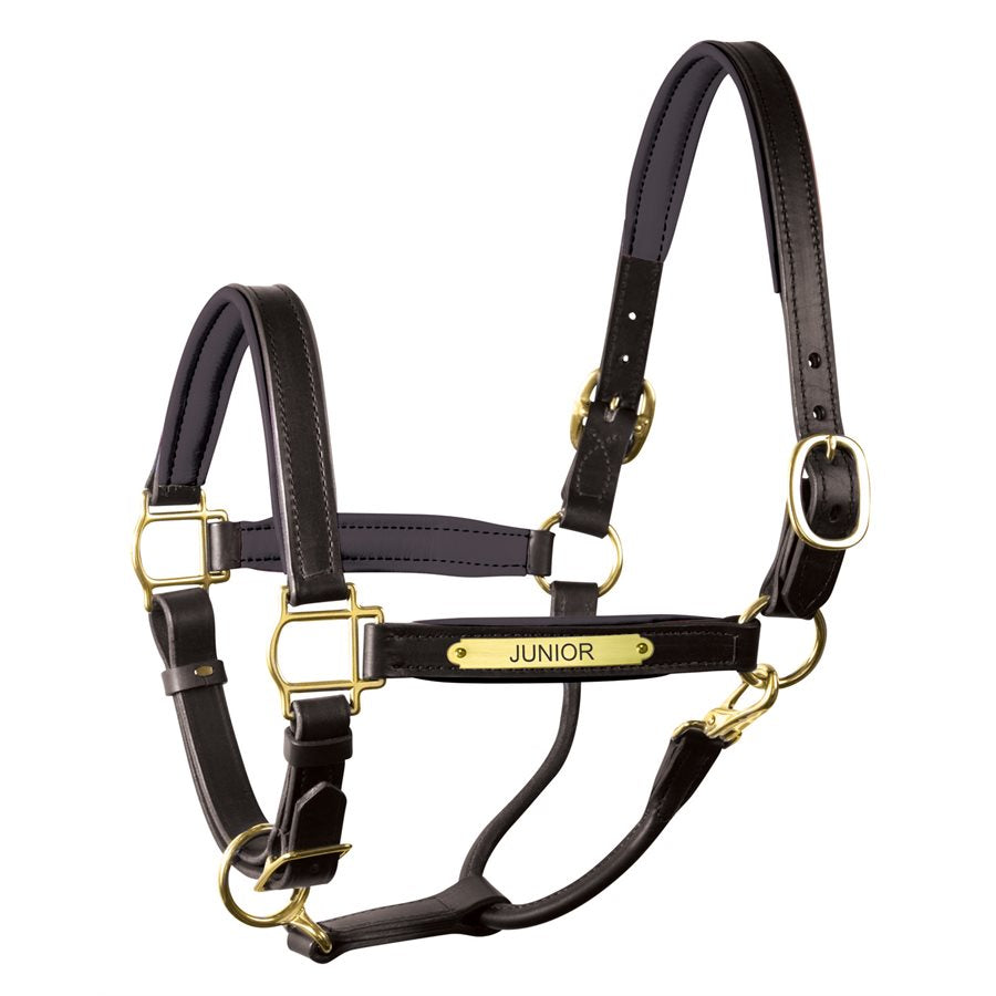 Perri's Padded Leather Halter with Plate