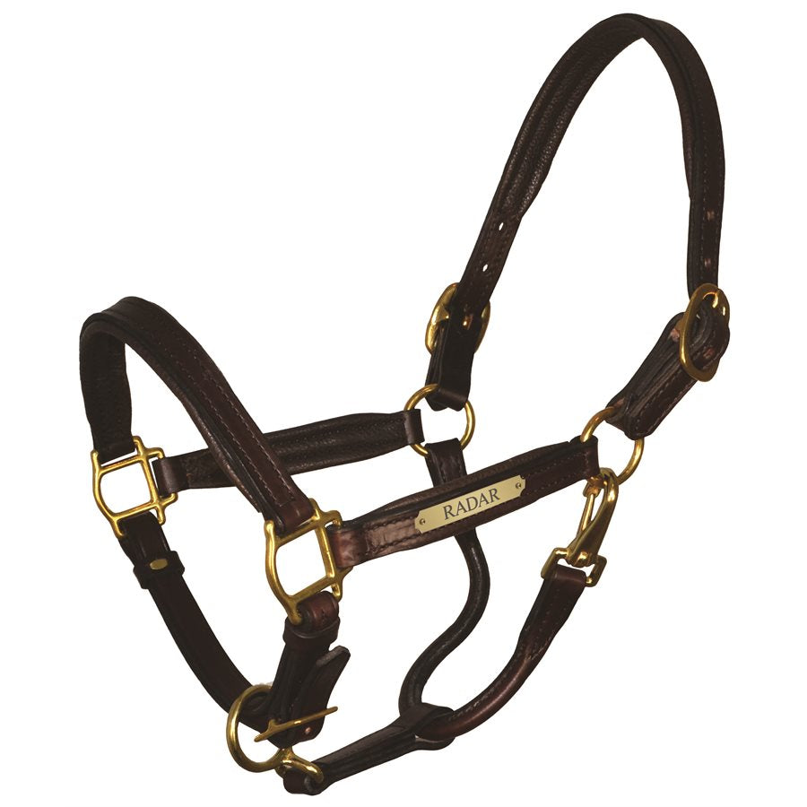 Perri's Padded Leather Halter with Plate