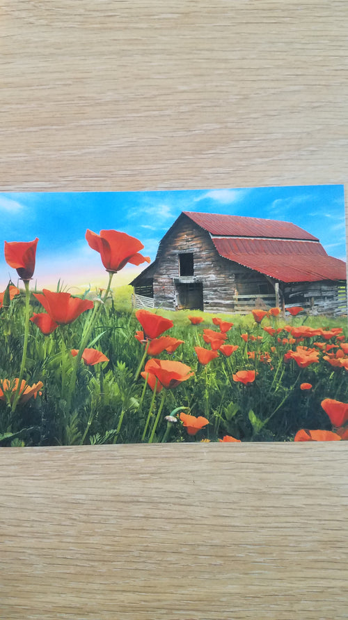 Blank Card - Barn