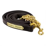 Perri's Padded Leather Lead with Plate