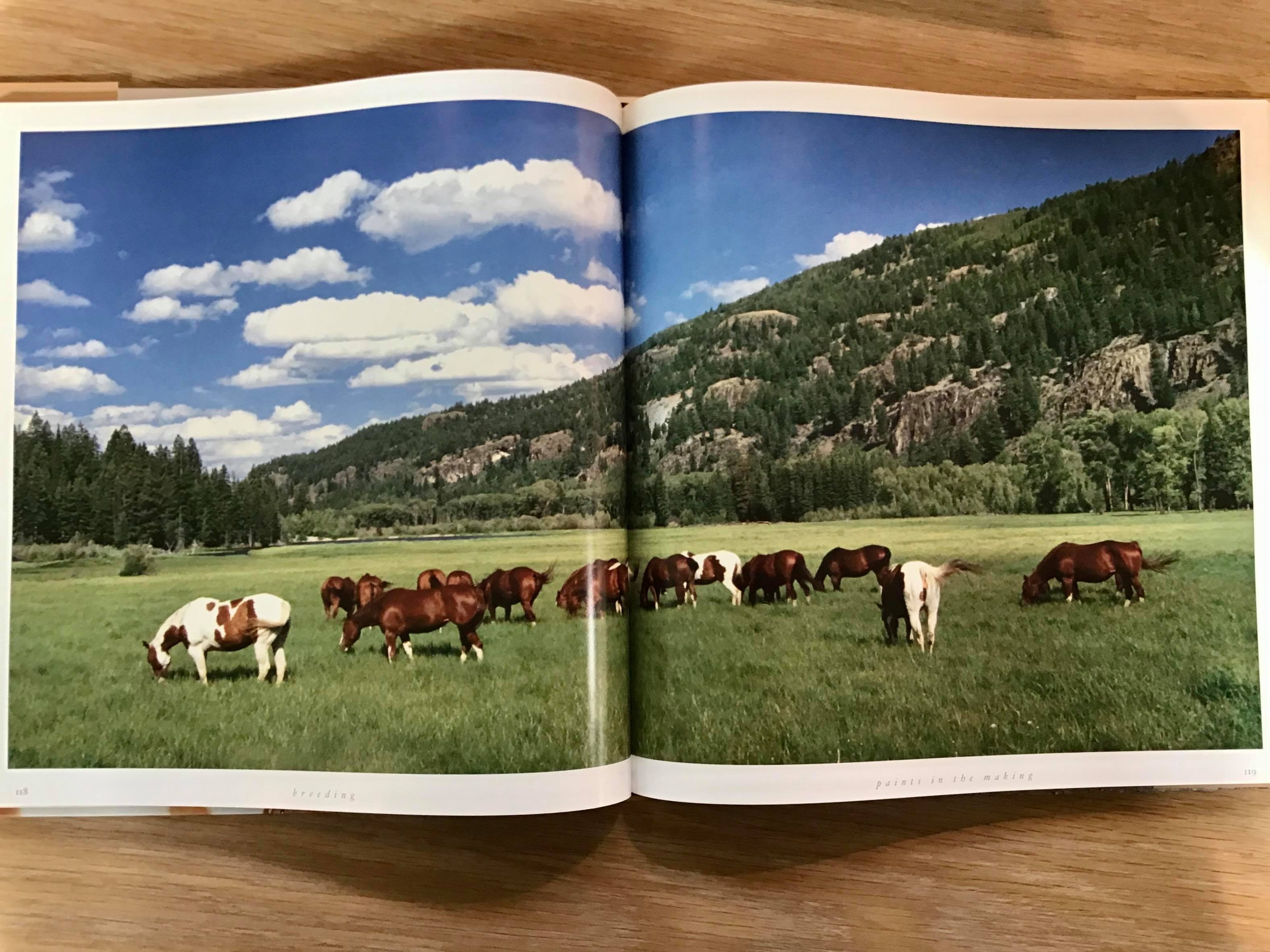 The American Paint Horse Book
