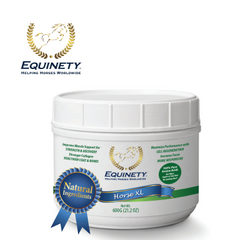 Equinety Horse XL